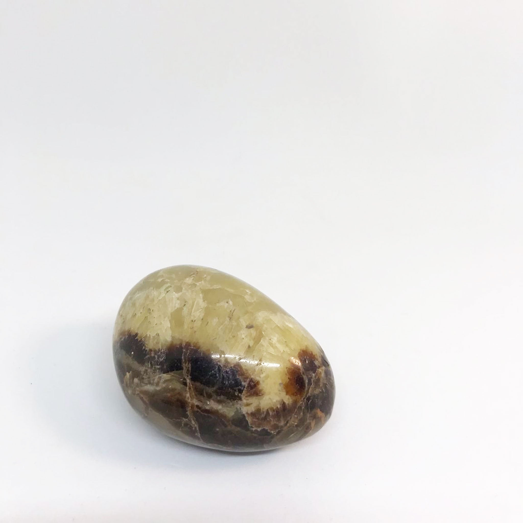 Septarie Egg